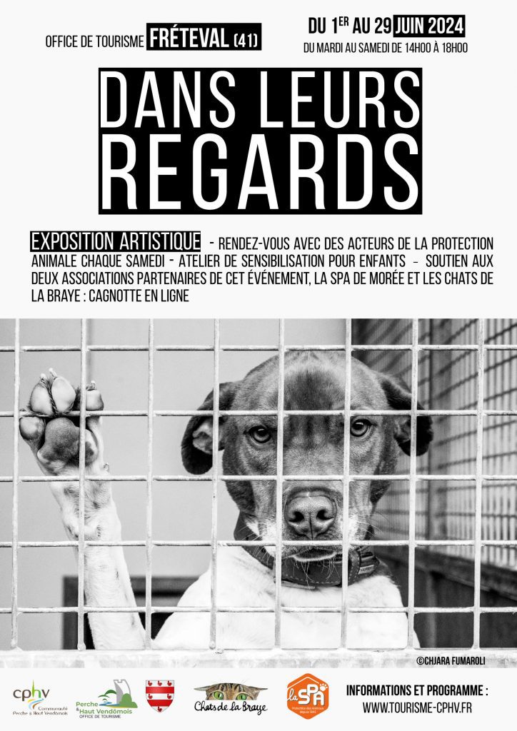 Affiche expo
